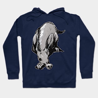 Aardvark Hoodie